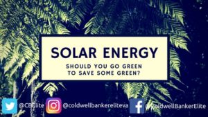 trees at night with text over top saying "Solar energy. Should you go green to save some green?"