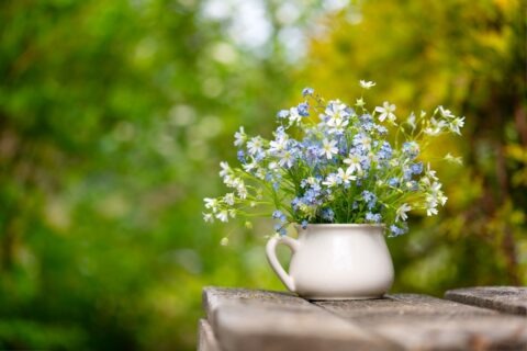 tea cup with flowers in it