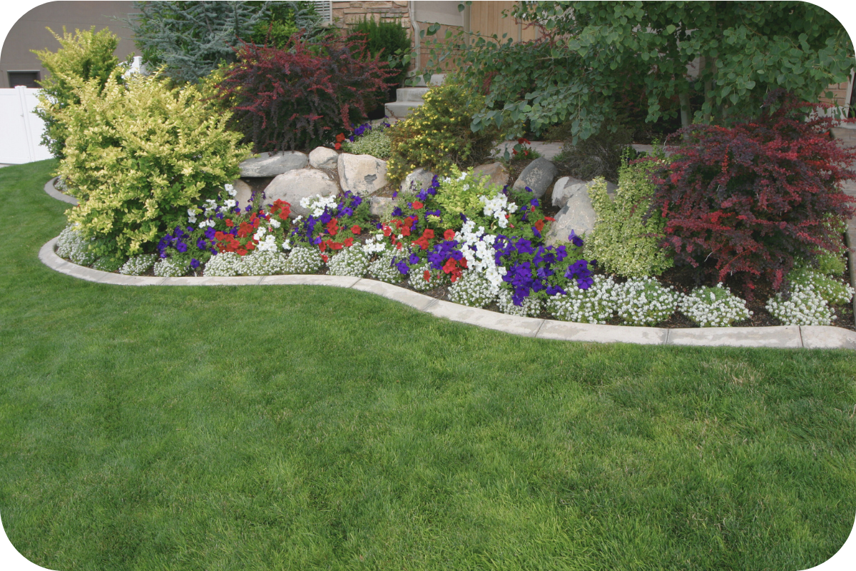 Vibrant professional landscaping in a Locust Grove front yard, completed through the Coldwell Banker Elite Show Ready program.